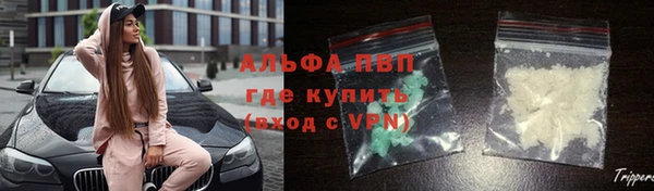 твердый Алексин