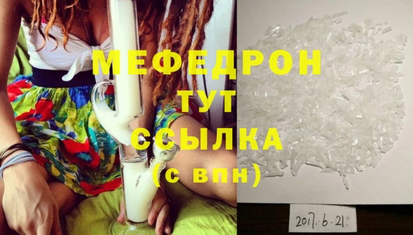 гашик Няндома