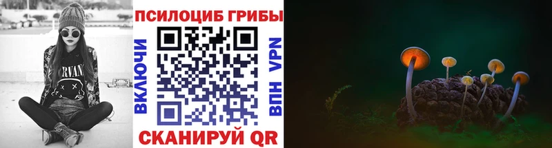 Галлюциногенные грибы MAGIC MUSHROOMS  ОМГ ОМГ ссылка  Кропоткин  закладка 