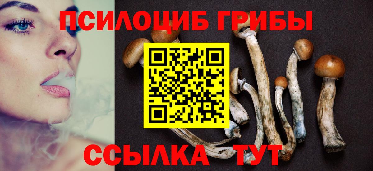 что такое наркотик  Вход с VPN  Кропоткин  Псилоцибиновые грибы ЛСД 